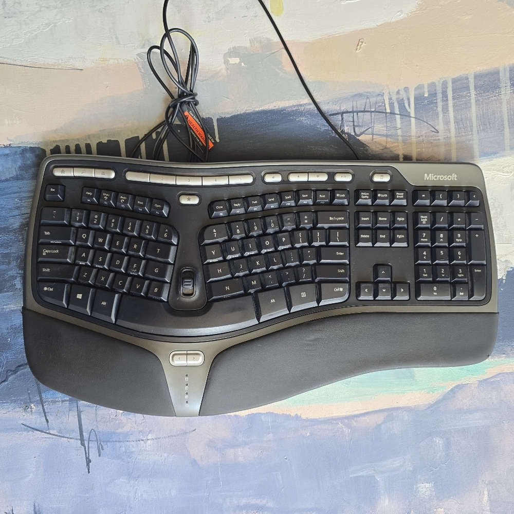 Microsoft Natural Ergonomic Keyboard 4000 v1.0 KU-0462 USB Wired W/ Front Riser